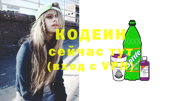 дмт Богданович