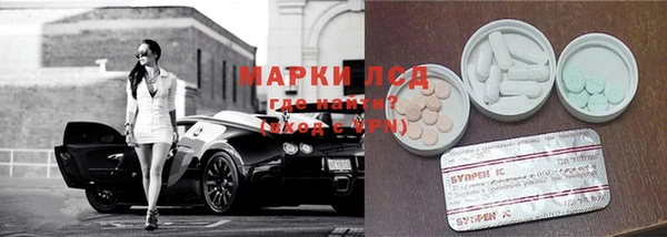 шишки Бородино
