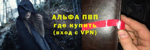 шишки Бородино