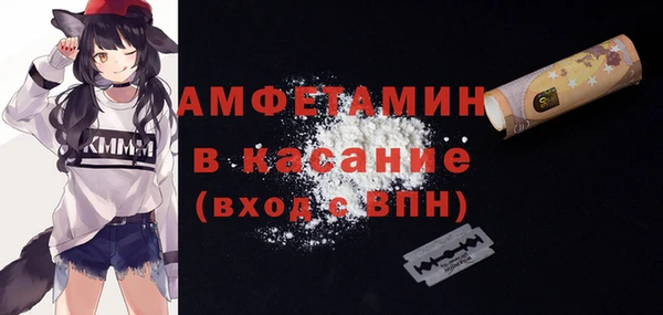 шишки Бородино