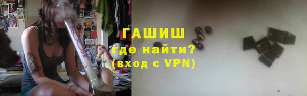 шишки Бородино