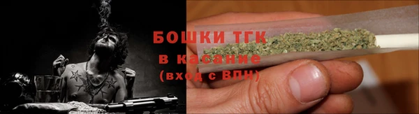 шишки Бородино