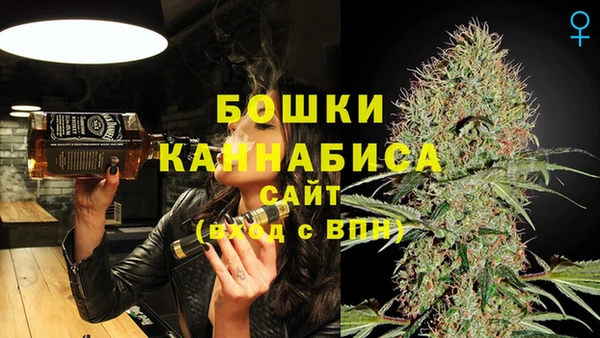 шишки Бородино