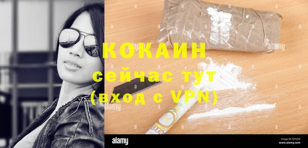 шишки Бородино