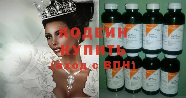 шишки Бородино