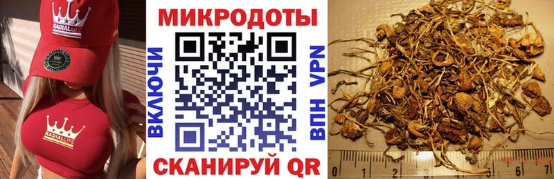 купить наркотики сайты Грязовец Псилоцибиновые грибы мухоморы